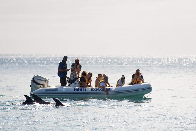 One Hour Cathedral Cove Boat Tour in Hahei - Key points to know before you book