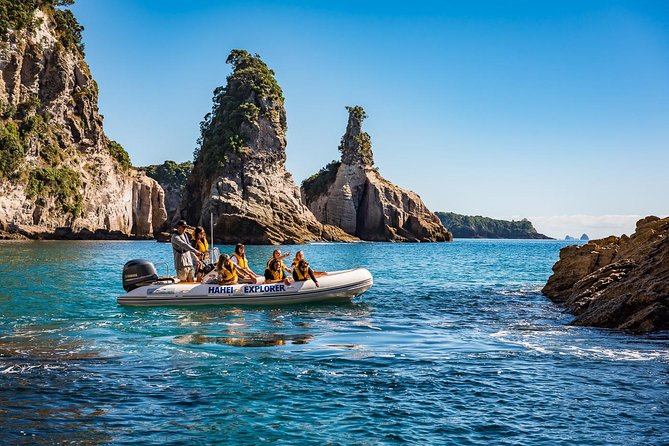 One Hour Cathedral Cove Boat Tour in Hahei - The marine reserve adds wildlife and meaning