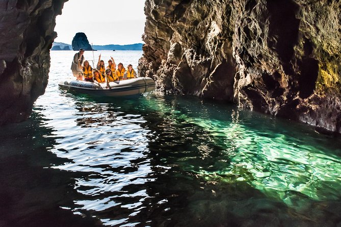 One Hour Cathedral Cove Boat Tour in Hahei - What the ride feels like in real conditions
