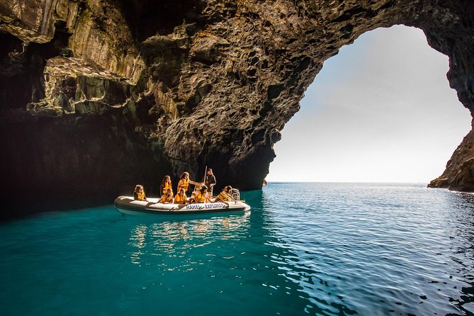One Hour Cathedral Cove Boat Tour in Hahei - Who will enjoy the Hahei Explorer most?