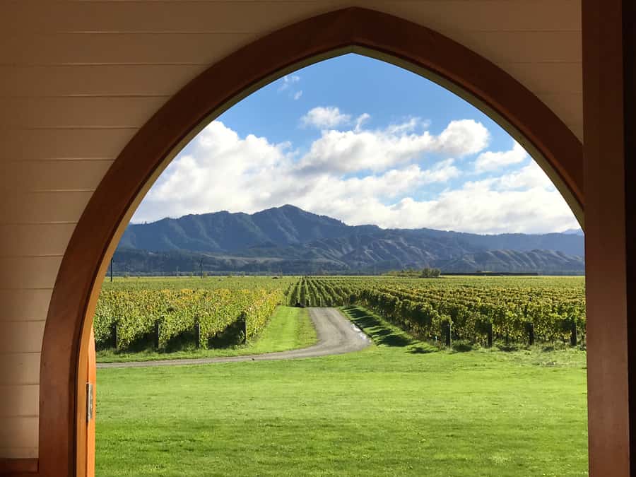 Onshore Highlights of Marlborough's Wine Region from Picton - Who will enjoy this Marlborough tour most?