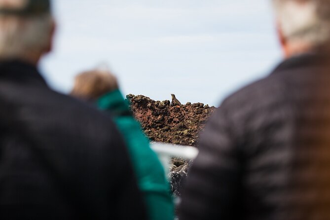 Otago Harbour Wildlife Cruise (Dunedin Shore Excursion) - Is $86.88 a fair price?