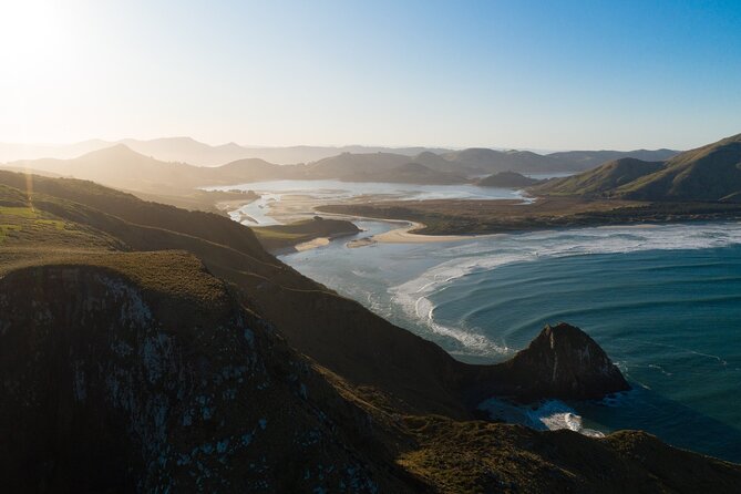 Otago Peninsula In-Depth Tour & Blue Penguins Pukekura Experience - Why the penguin return is worth a late night