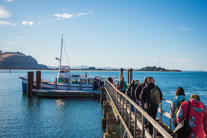 Otago Peninsula Wildlife Cruise with Monarch - What happens during the one-hour cruise