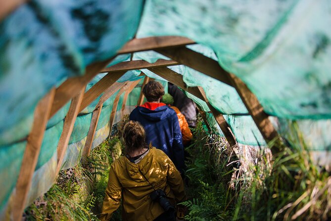 Otago Peninsula Wildlife Tour & Cruise - Key points to know before you book