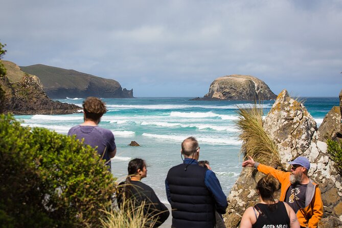 Otago Peninsula Wildlife Tour & Cruise - Why this Otago Peninsula tour works so well