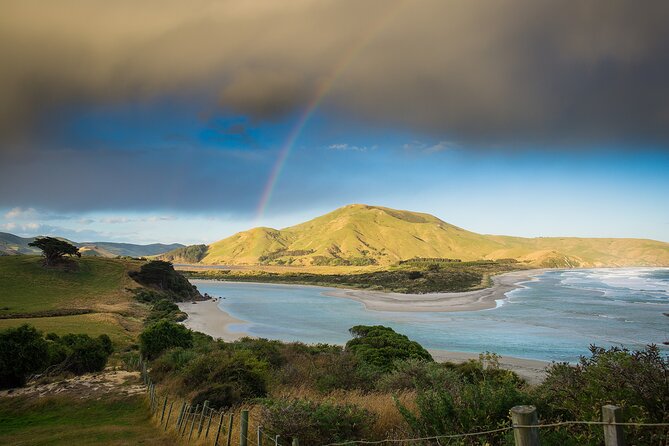 Otago Peninsula Wildlife Tour & Cruise - The MV Monarch cruise toward Taiaroa Head