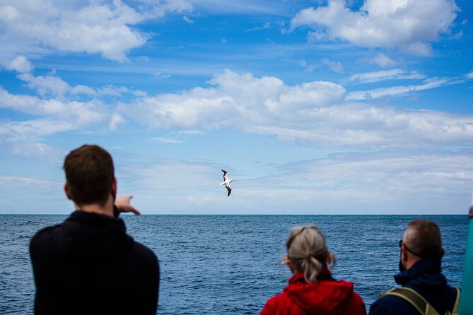Otago Peninsula Wildlife Tour & Cruise - Inside the yellow-eyed penguin conservation reserve