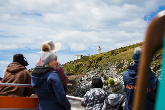 Otago Peninsula Wildlife Tour & Cruise - Who should book this wildlife day