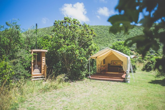 Overnight Experience Tour on Kapiti Island - Day one: ferry, packed lunch, and forest time