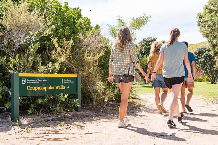Paihia: Bay of Islands Dolphin Eco Cruise & Island Stopover - Who will enjoy this Bay of Islands outing