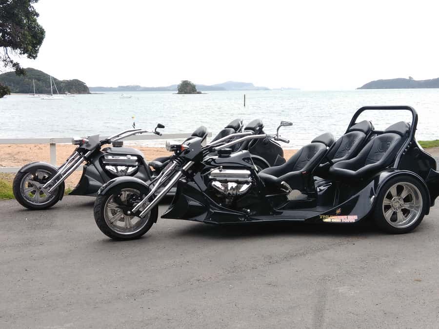 Paihia: Bay of Islands Trike Tour Experience - Key points to know before booking