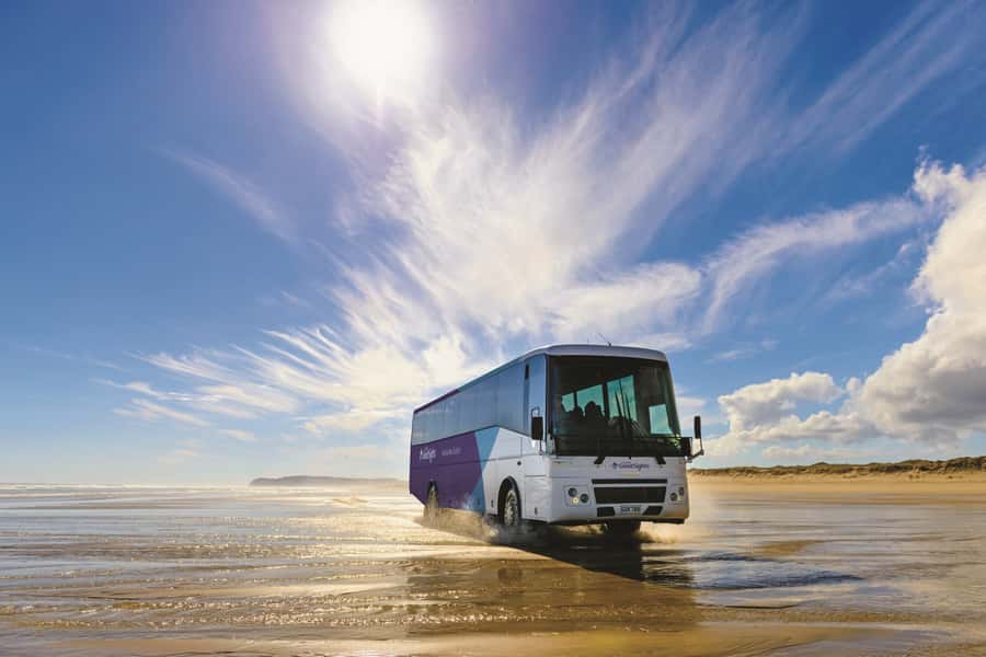 Paihia: Cape Reinga and Ninety Mile Beach Trip with Lunch - Why Cape Reinga deserves the long ride from Paihia