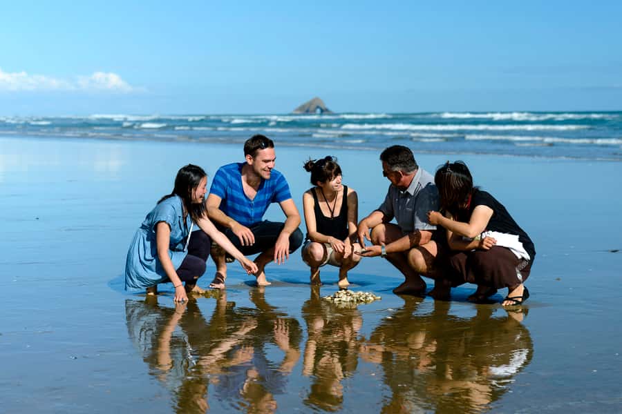 Paihia: Cape Reinga and Ninety Mile Beach Trip with Lunch - The coach ride, and why the guide matters