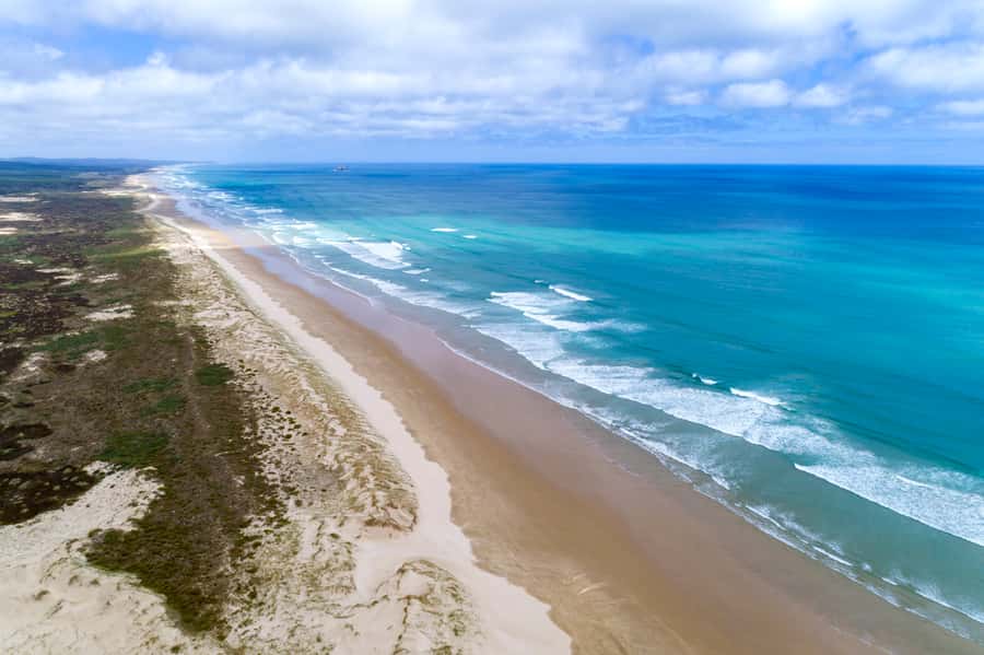 Paihia: Cape Reinga and Ninety Mile Beach Trip with Lunch - Who will enjoy this trip most?