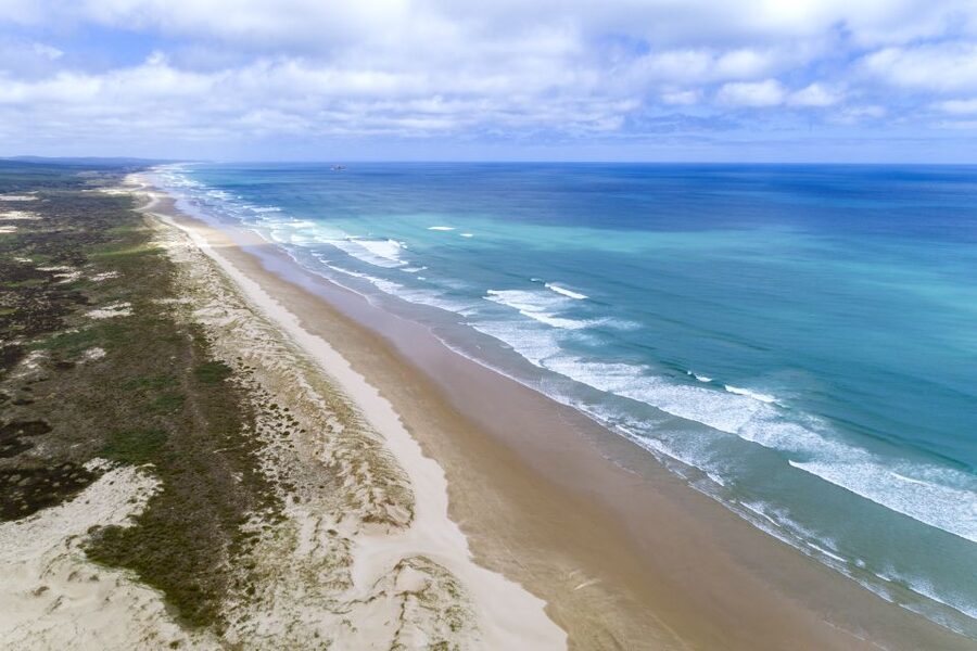 Paihia: Cape Reinga and Ninety Mile Beach Trip with Lunch - Practical advice for making the day easier