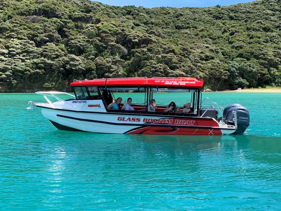 Paihia: Glass Bottom Boat Tour to the Hole in the Rock - Leaving from the Main Wharf in Paihia