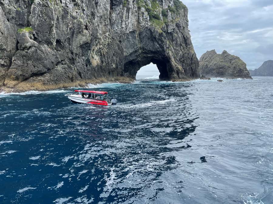 Paihia: Glass Bottom Boat Tour to the Hole in the Rock - Is $74 good value?