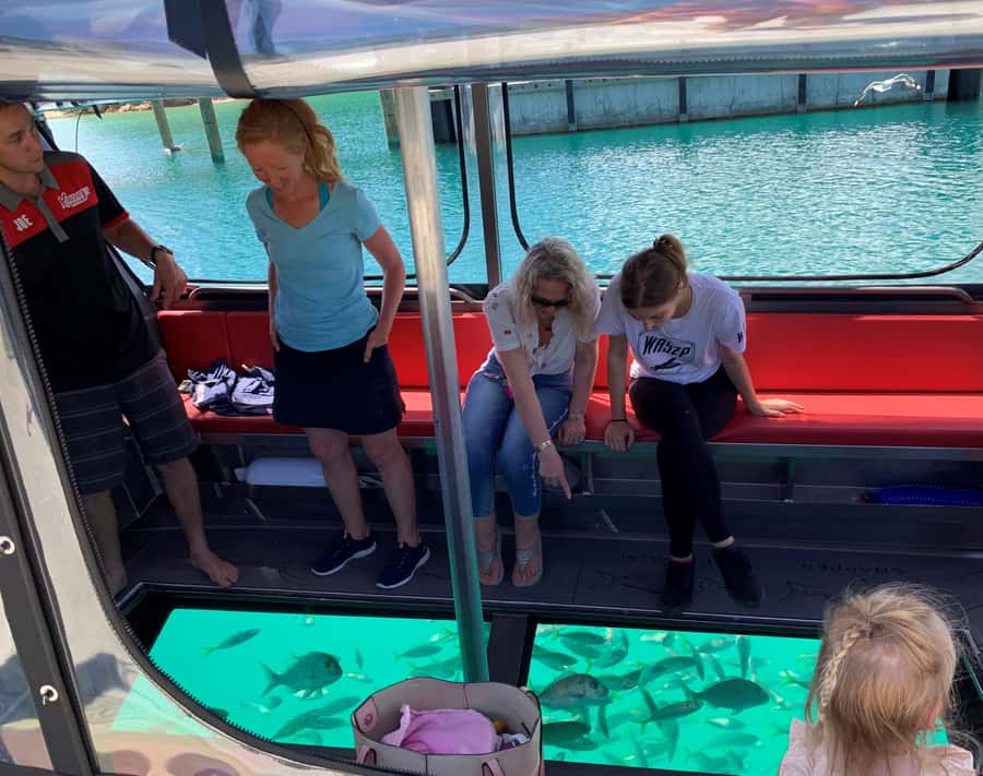 Paihia: Glass Bottom Boat Tour to the Hole in the Rock - Golden beaches, coves, and the run toward Cape Brett