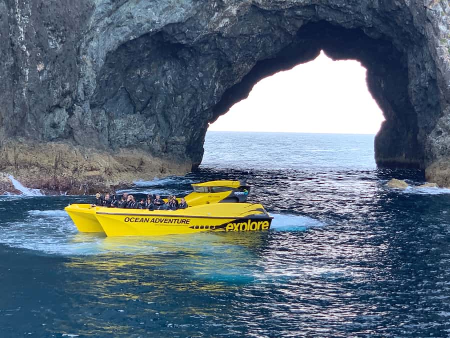 Paihia: Hole in the Rock Fast Boat Ocean Adventure - The Hole in the Rock, conditions permitting