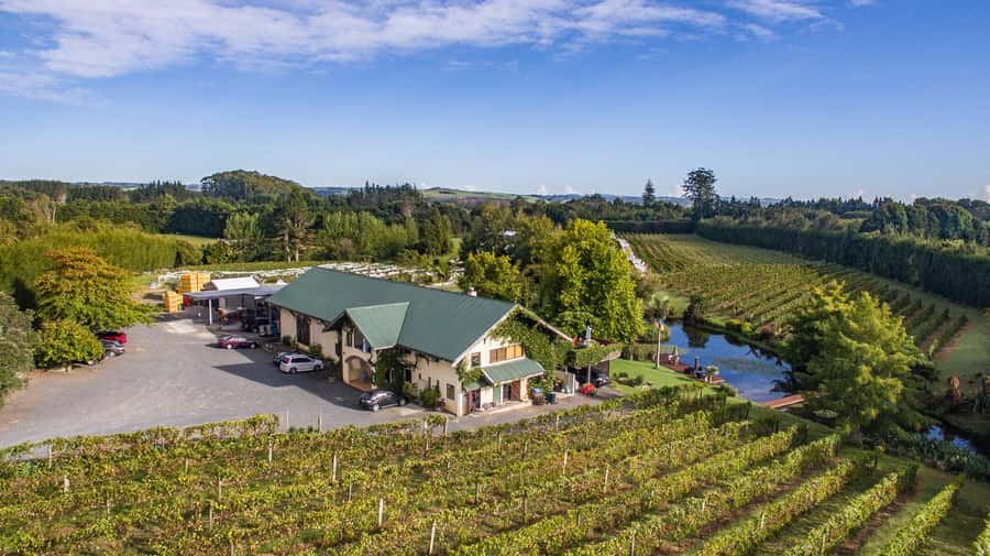 Paihia or Kerikeri: Wine, Spirit, & Craft Beer Tour - Marsden Estate sets the pace with six wines