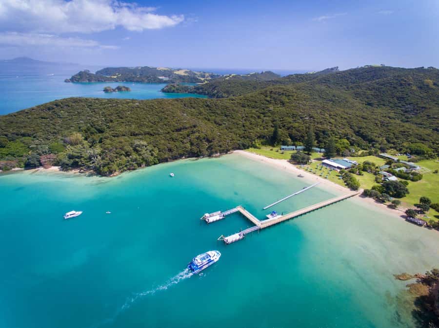 Paihia/Russell: Hole in the Rock and Bay of Islands Cruise - Why this cruise works so well in the Bay of Islands