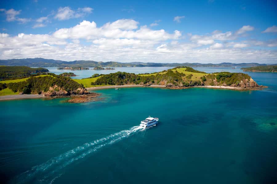 Paihia/Russell: Hole in the Rock and Bay of Islands Cruise - Wildlife watching without false promises