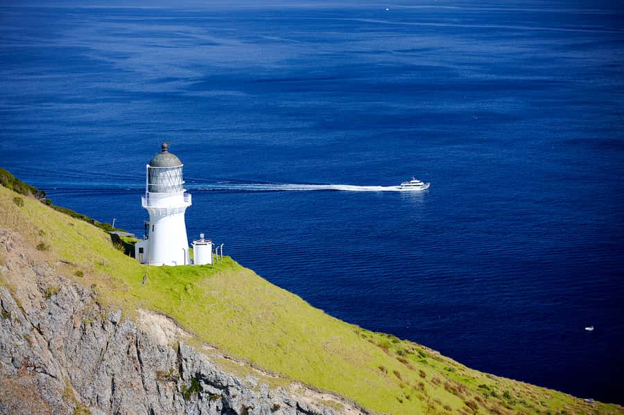 Paihia/Russell: Hole in the Rock and Bay of Islands Cruise - Otehei Bay and the 1.5-hour island break