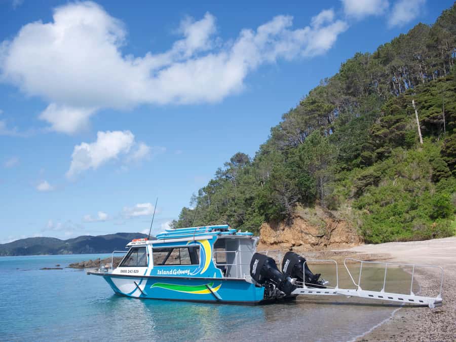 Paihia/Russell: Hole in the Rock Cruise with 2 Island Stops - Who will enjoy this cruise most?