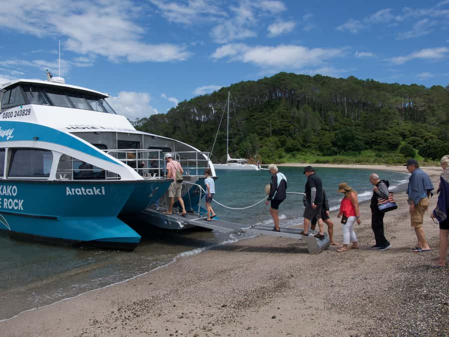 Paihia/Russell: Hole in the Rock Cruise with 2 Island Stops - A 4.5-hour route through the Bay of Islands