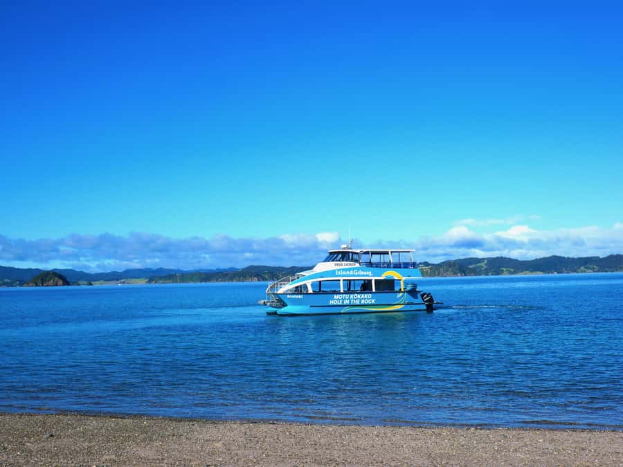 Paihia/Russell: Hole in the Rock Cruise with 2 Island Stops - What the smaller boat changes