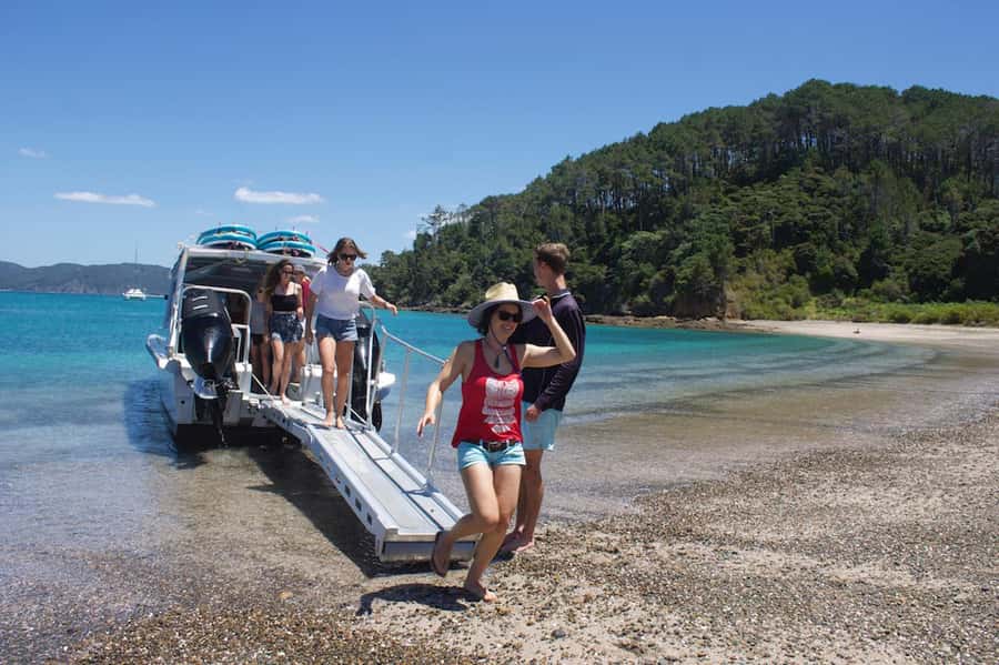 Paihia/Russell: Hole in the Rock Cruise with 2 Island Stops - Marine life and coastal birds