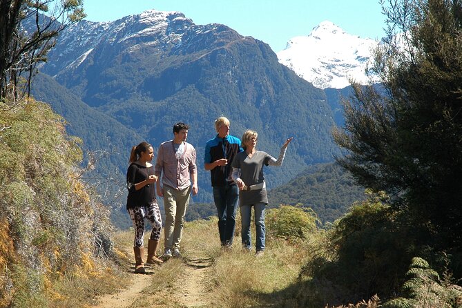 Paradise Valley Full Day Tour - Sheep, cattle, and the Paradise Valley woolshed