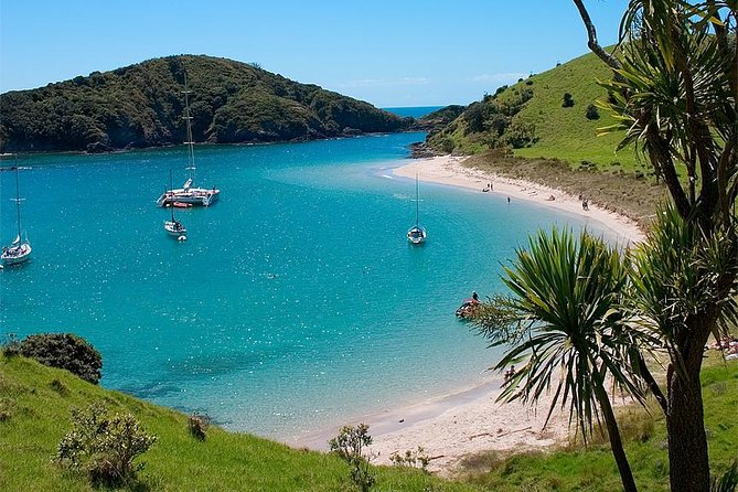 Phantom Sailing Bay of Islands - Snorkeling, swimming, and time on deck