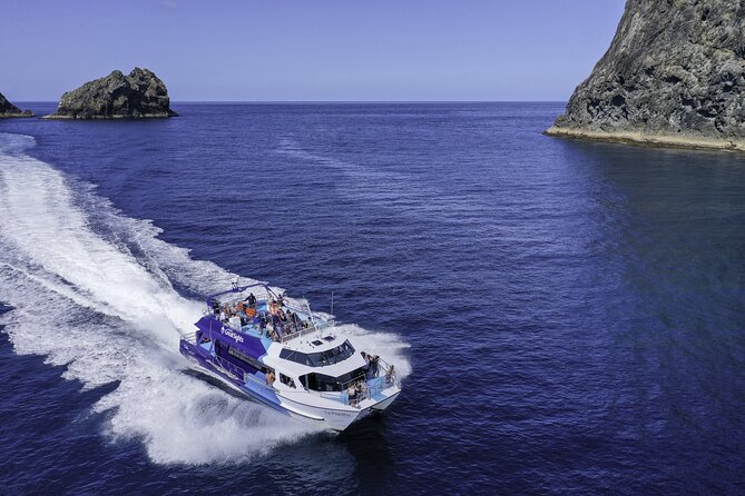Phantom Sailing Bay of Islands - The afternoon sail back to Russell