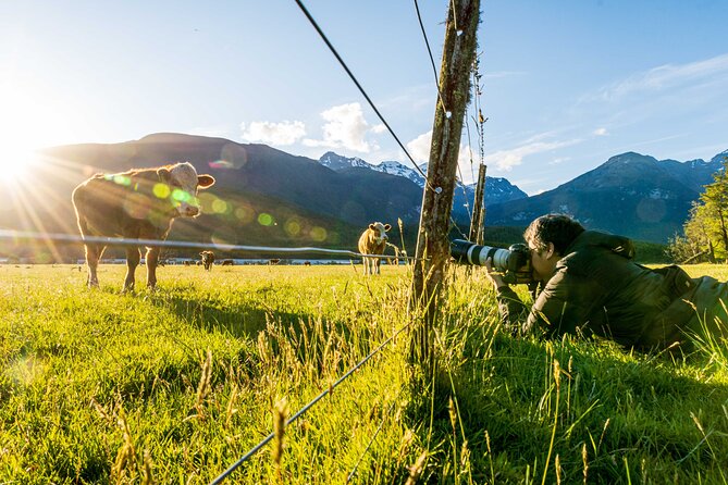 Photography Tour from Queenstown to Glenorchy - 1/2 Day - Who will get the most from Glenorchy
