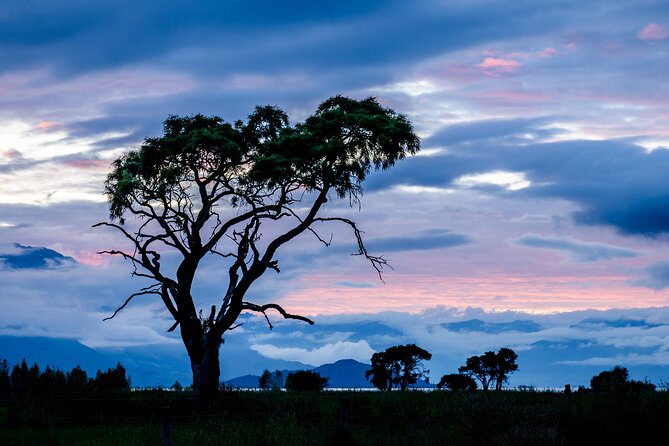 Photography Tour from Queenstown to Glenorchy - 1/2 Day - Booking timing, cancellations, and group size