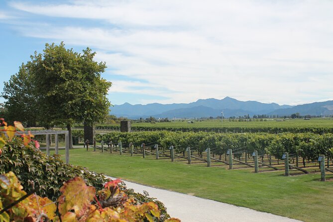 Picton & Blenheim Scenic Tour - Lunch at The Vines Village