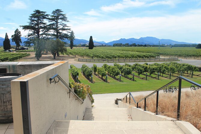 Picton & Blenheim Scenic Tour - Why the Small Group Changes the Experience