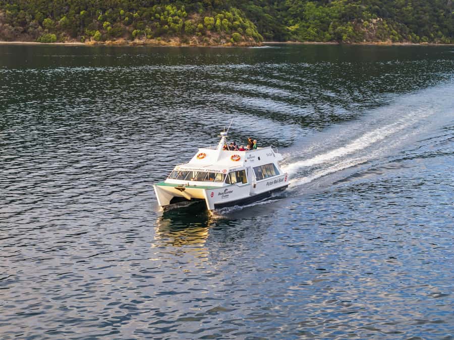 Picton Shore Excursion: Queen Charlotte Sounds Cruise - Crossing the main reach of Queen Charlotte Sound