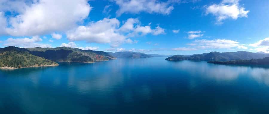 Picton Shore Excursion: Queen Charlotte Sounds Cruise - What the crew adds to the experience