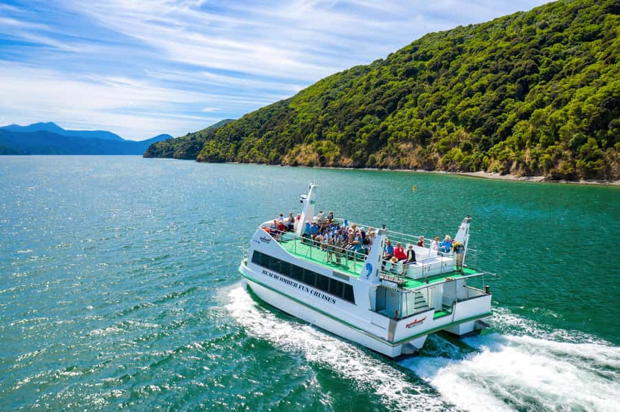 Picton Shore Excursion: Queen Charlotte Sounds Cruise - Finding the boat at Picton’s waterfront