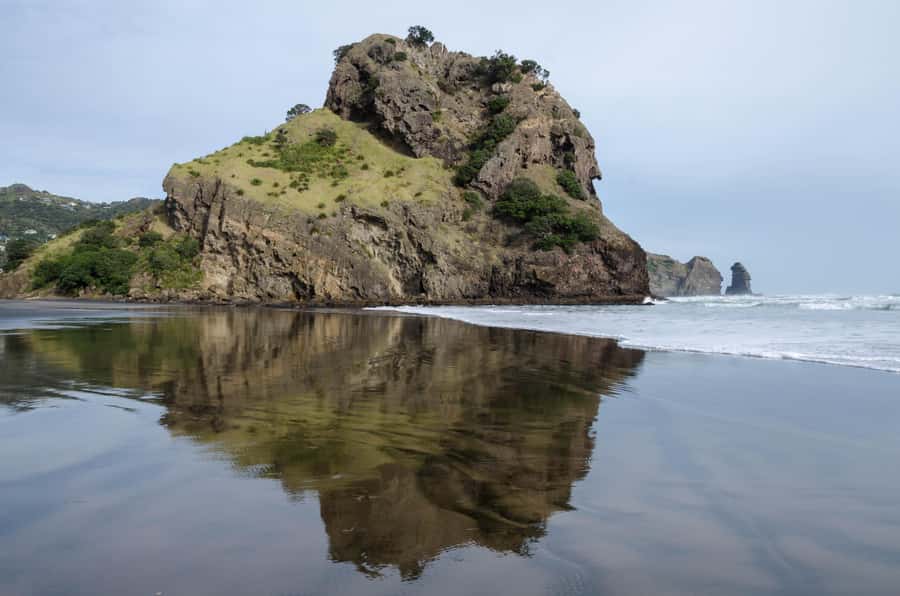 Piha Beach & Wilderness Private Tour: Auckland Half Day Trip - Leaving Auckland for the Waitākere Ranges