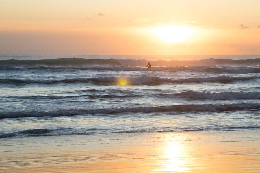 Piha Beach & Wilderness Private Tour: Auckland Half Day Trip - Arataki Visitor Centre gives you the big picture