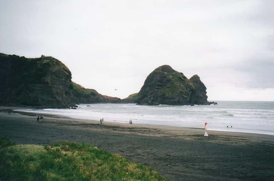 Piha Beach & Wilderness Private Tour: Auckland Half Day Trip - Piha Beach and Lion Rock are the main event