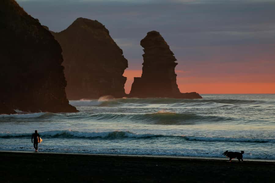 Piha Beach & Wilderness Private Tour: Auckland Half Day Trip - Karekare Waterfall adds a forest pause