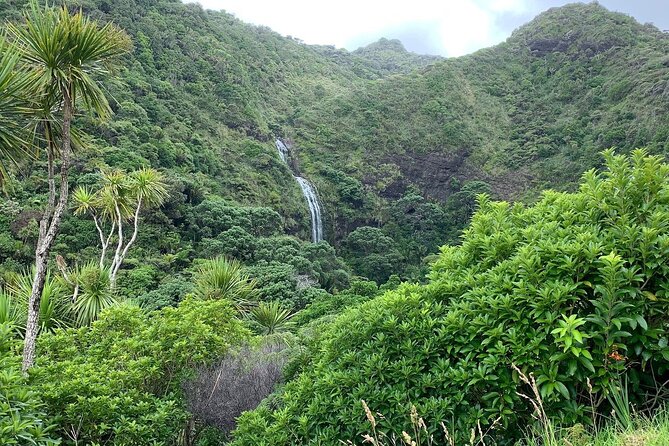 Piha Waitakere Rainforest Wine Tour from Auckland - Westbrook Winery and the final tasting