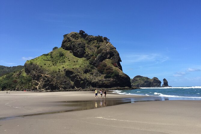 Piha Waitakere Rainforest Wine Tour from Auckland - What the $195.48 price includes