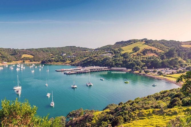 Piha Waitakere Rainforest Wine Tour from Auckland - Who should book this Auckland excursion?