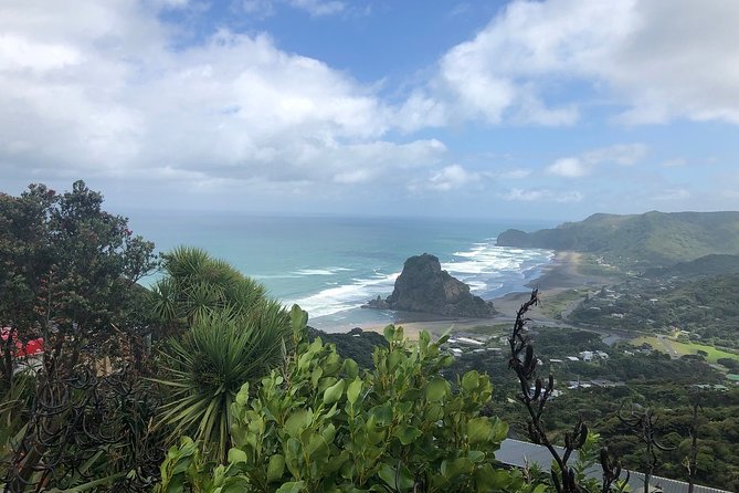 Piha Waitakere Rainforest Wine Tour from Auckland - Walking through the Waitakere rainforest